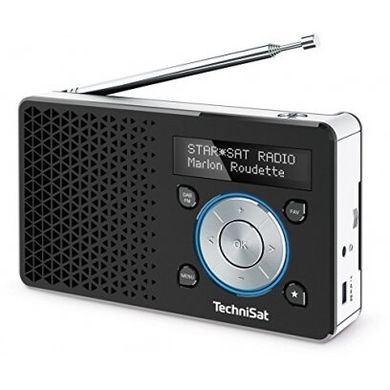 Радиоприемник Technisat Digitradio 1 Black Silver