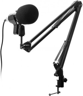 Мікрофон Accura Fame ACC-M1754